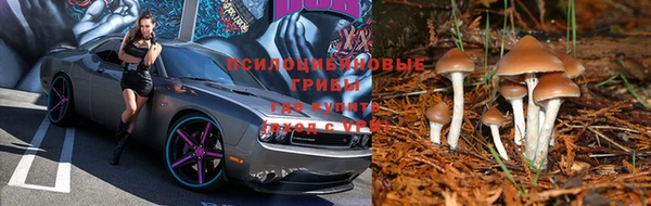 винт Беломорск