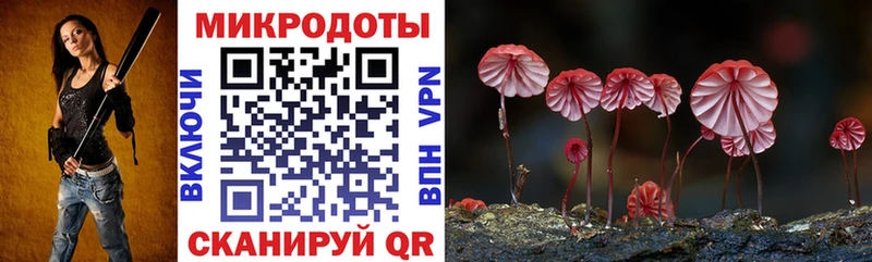 Галлюциногенные грибы мухоморы  Вольск 